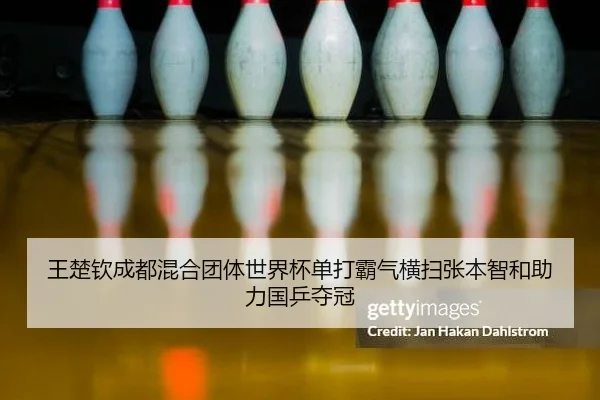 wang-chu-qin-cheng-du-hun-he-tuan-ti-shi-jie-bei-dan-da-ba-qi-heng-sao-zhang-ben-zhi-he-zhu-li-guo-ping-duo-guan-2-404.jpg